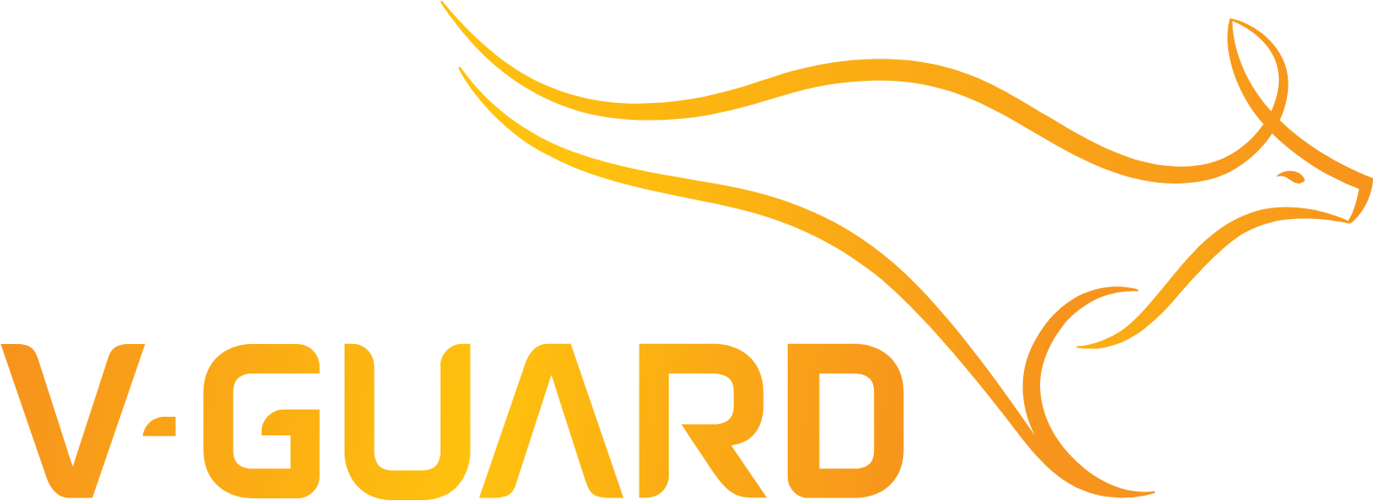 VGUARD.NS_BIG (1)